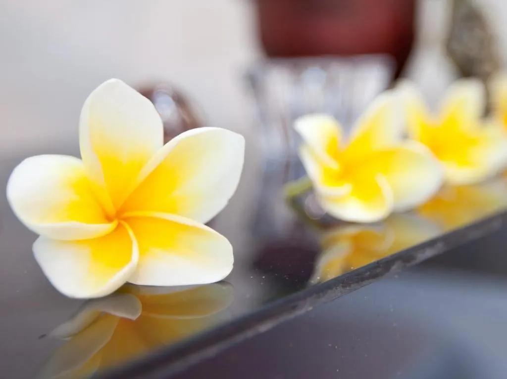 Villa Ganesha Seminyak