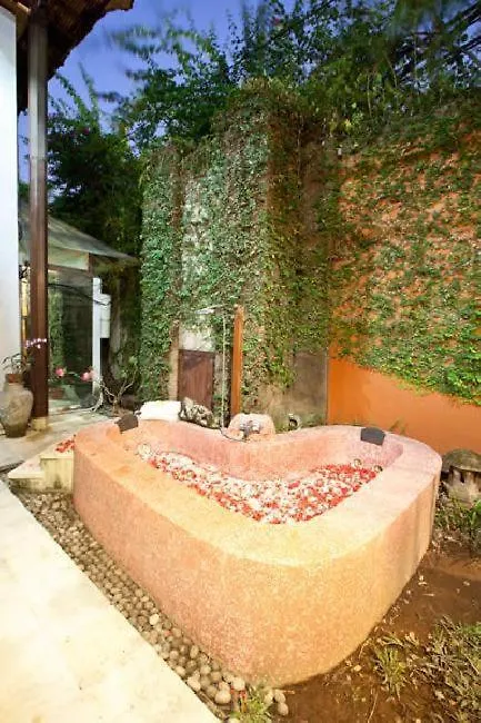 سمينياك Villa Ganesha 0*,